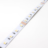 24V Essential Toning Series LED Strip Light RGB+W 4000K 60 LEDs, 19.2w Per Metre, 5 Metre Reel - TE24-RGBW-60-IP20_STRIP__08075__70257__81661.jpg