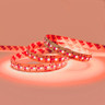 24V Advance Toning Series LED Strip Light, RGB+2300K to 6500K CCT, CRI >90, 288 LEDs p/m, 19.2w p/m, 5 Metre Reel - TA24-RGB2365K-288-5M-90_R_ON__35278__65357.jpg