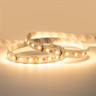 24V Professional Toning Series Dim to Warm LED Strip Light, 1900K to 3000K, CRI >90, 168 LEDs p/m, 14.4w p/m, 5 Metre Reel - TP24-193K-168-5M-90-1930K__07811__79777__76006.jpg