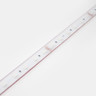 24V Professional Toning Series LED Strip Light, RGB Colour Changing, 60 LEDs p/m, 14.4w p/m, 5 Metre Reel, IP67 - RGB_Toning_Professional_IP65_60LED_STRIP__38197__68224__26889.jpg