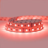 24V Professional Toning Series LED Strip Light, RGB+6000K, CRI >90, 60 LEDs p/m, 19.2w p/m, 5 Metre Reel - TP24-RGB6K-60-5M_0__22288.jpg