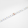 24V Professional Toning Series LED Strip Light, RGB+6000K, CRI >90, 60 LEDs p/m, 19.2w p/m, 5 Metre Reel - TP24-RGB27K-60-5M-STRIP__32737.1634216988.1280.1280__34560__36674__30709.jpg