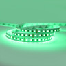24V Advance Toning Series LED Strip Light, RGB Colour Changing, 11w p/m, 120LEDs p/m, 5 Metre Reel - TA24-RGB-120_GREEN__61657__24139__29611.jpg