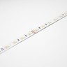 24V Professional Toning Tunable LED Strip Light, 19.2w p/m, 140 LEDs p/m, 2700K to 6000K, CRI>90, 5 & 50 Metre Reel, IP65 Nano - TP24-276K-STRIP__85079__25395__34353.jpg