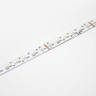24V Advance Toning Series LED Strip Light, RGB+2700K to 6500K CCT, CRI >90, 288 LEDs p/m, 19.2w p/m, 5 Metre Reel, IP65 Nano - TA24-RGB2365K-288-5M-90-__14131__17191__77452.jpg