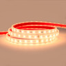 24V Advance SMD Series LED Strip Light, 7.2w p/m, 80 LEDs p/m, CRI>95, 2700K, 5 Metre Reel, IP67 - TS24-80-95-IP-27K__35713__39834__31118.jpg