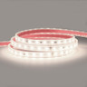 24V Advance SMD Series LED Strip Light, 7.2w p/m, 80 LEDs p/m, CRI>95, 4000K, 5 Metre Reel, IP67 - TS24-80-95-IP-4K__19619__57849__35157.jpg