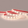 24V Advance Long Run SMD Series LED Strip Light, 4.6w p/m, 60 LEDs p/m, CRI>95, 3000K, 30 Metre Reel, IP67 - 3000K_On__80695__36699__61999.jpg