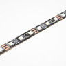 Toning Digital Pixel LED Strip Light 19.2W p/m, 12V, RGB+3000K, 60LEDs, 20 Pixel/m, 5 Metre Reel - Closeup_V1__52660__78403__16592.jpg