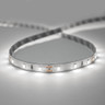Cut to Size | IP20 | 12V | Essential | LED Strip Light | 60 LEDs p/m | 4.8W p/m | Single Colour - CTO-ES12-60_6000K.jpg