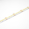 24V Professional Super Bright Series LED Strip Light, 22w p/m, 240 LEDs p/m, CRI>80, 3000K, 5 Metre Reel - PB24-240-5M-STRIP__52063.1635412951.1280.1280__53224.1636100883.1280.1280__32428__80956__76489.jpg