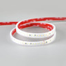 Tagra | 48V | Professional Long Run | LED Strip Light | 160 LEDs p/m | 9.3W p/m | IP67 | 30m - 8H8A6863__83942.jpg