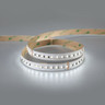 Tagra | 48V | Professional Long Run | LED Strip Light | RGB+W | 240 LEDs p/m | 19.2W p/m | 15m - 8H8A6709__78187.jpg