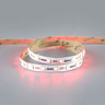 Tagra | 24V | Professional Signage | LED Strip Light | RGB+W | 48 LEDs p/m | 12.6W p/m | 5m - 8H8A6722__11938.jpg