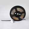 Tagra | 24V | Professional Signage | LED Strip Light | RGB+W | 48 LEDs p/m | 12.6W p/m | 5m - 8H8A6717__76666.jpg
