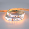 Tagra | 24V | Professional High Definition | LED Strip Light | RGB+W | 240 LEDs p/m | 20.0W p/m | 5m - 8H8A6751__12040.jpg