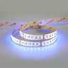 Tagra | 24V | Professional High Definition | LED Strip Light | RGB+W | 240 LEDs p/m | 20.0W p/m | 5m - 8H8A6832__86837.jpg