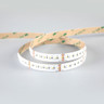 Tagra | 24V | Professional High Definition | LED Strip Light | RGB+W | 240 LEDs p/m | 20.0W p/m | 5m - 8H8A6829__76900.jpg
