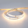 Tagra | 24V | Professional High Definition | LED Strip Light | CCT | 240 LEDs p/m | 24.0W p/m | 5m - 8H8A6662__37288.jpg