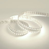 Tagra | 24V | Professional Double Row | LED Strip Light | 280 LEDs p/m | 20W p/m | 5m - Professional_Double_Row_6000K__28925.jpg