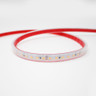 Tagra | IP65 | 24V | Essential | LED Strip Light | 120 LEDs p/m | 9.6W p/m | 5m & 50m - ES24-120-IP-OFF.jpg