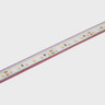 Tagra | IP65 | 24V | Essential | LED Strip Light | 120 LEDs p/m | 9.6W p/m | 5m & 50m - ES24-120-IP.jpg
