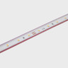 Tagra | IP65 | 24V | Essential | LED Strip Light | 60 LEDs p/m | 4.8W p/m | 5m & 50m - ES24-60-IP.jpg