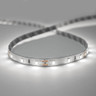 Tagra | IP20 | 12V | Essential | LED Strip Light | 60 LEDs p/m | 4.8W p/m | 5m & 50m - ES12-60-6K.jpg