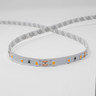 Tagra | IP20 | 12V | Essential | LED Strip Light | 60 LEDs p/m | 4.8W p/m | 5m & 50m - ES12-60-OFF.jpg