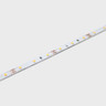 Tagra | IP20 | 12V | Essential | LED Strip Light | 60 LEDs p/m | 4.8W p/m | 5m & 50m - ES12-60.jpg