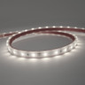 Tagra | IP65 | 12V | Essential | LED Strip Light | 60 LEDs p/m | 4.8W p/m | 5m & 50m - ES12-60-6K-IP.jpg