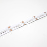 24V Professional Toning Series COB Spotless LED Strip Light, RGB+3000K, CRI >90, 19.2w p/m, 40 Metre Reel - RGBW_TAPE__11388.1681739366.1280.1280__21904__66939__17603.1698138017.1280.1280__66814.jpg