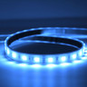 Tagra | IP65 | 24V | Toning Essential | LED Strip Light | 60 LEDs p/m | 14.4W p/m | RGB | 5 Metres & 50 Metres - TE24-RGB60-65_BLUE.jpg