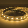 Tagra | IP65 | 24V | Toning Essential | LED Strip Light | 60 LEDs p/m | 19.2W p/m | RGB+W | 5 Metres - TE24-RGBW60-65_2700K.jpg