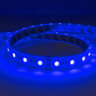 Tagra | IP65 | 24V | Toning Essential | LED Strip Light | 60 LEDs p/m | 19.2W p/m | RGB+W | 5 Metres - TE24-RGBW60-65_BLUE.jpg