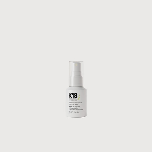 Pro Hair Repair Mini Kit
