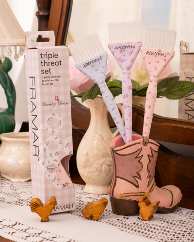 FRAMAR COLOR BRUSH SET Country Charms