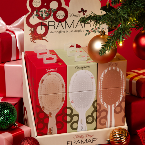 FRAMAR D.BRUSH DISPLAY Holly Days
