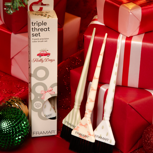 FRAMAR Treaple Treat Set Holly Days 3p