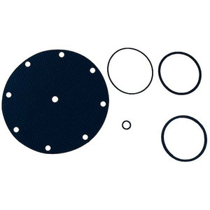 Valve Rebuild Kit, For Use with 6CJP1 - 100RK-2