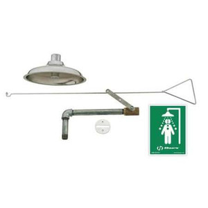 Emergency Shower, Flush Ceiling, 20 gpm - 8169