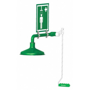 Laboratory Drench Shower, Ring Mount - L23GS