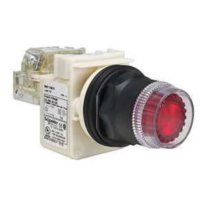Illuminated Push Button, 30 mm, SPDT, Red - 9001SK1L35RH13