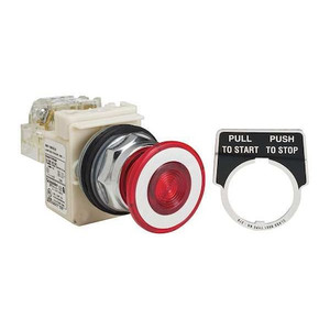 Illuminated Push Button, 30 mm, 1NO/1NC, Red - 9001KR9P35LRRH13