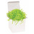 Crinkle Paper, Lime, 40 Lbs./Case - CP40N