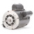 Motor, Cap St, 1.5 HP, 1725,115/208-230, 56Z - 5BE60
