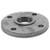 Flanged x FNPT, Cast Iron Reducing Companion Threaded Flange, Class 125 - 0308011402