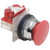 Push Button, 30 mm, 1 NO/1 NC, 1NC, 1NO, Red - 9001KR9R94H6