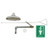 Emergency Shower, Flush Ceiling, 20 gpm - 8169