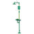 Axion™ MSR Shower/Eyewash, Combination - 8320CRP